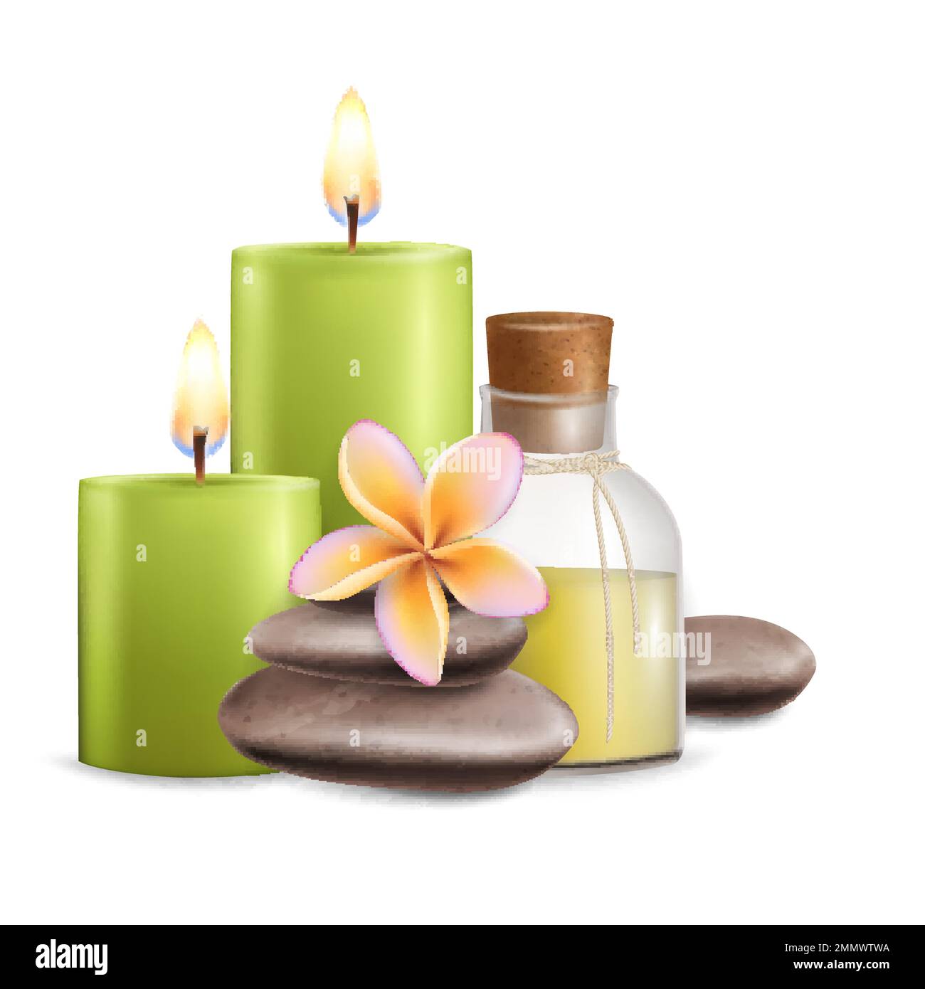 Wellness and spa salon services, vector illustration Stock Vector Image ...