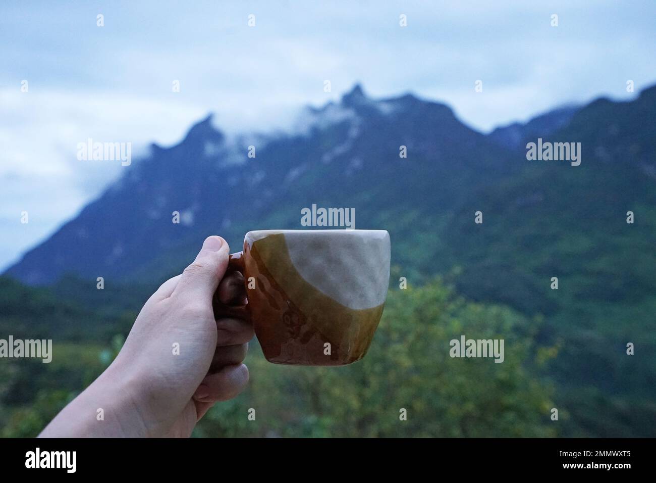 Hand holding colorful ceramic cup of hot coffee among natural landscape of green nature Stock Photo