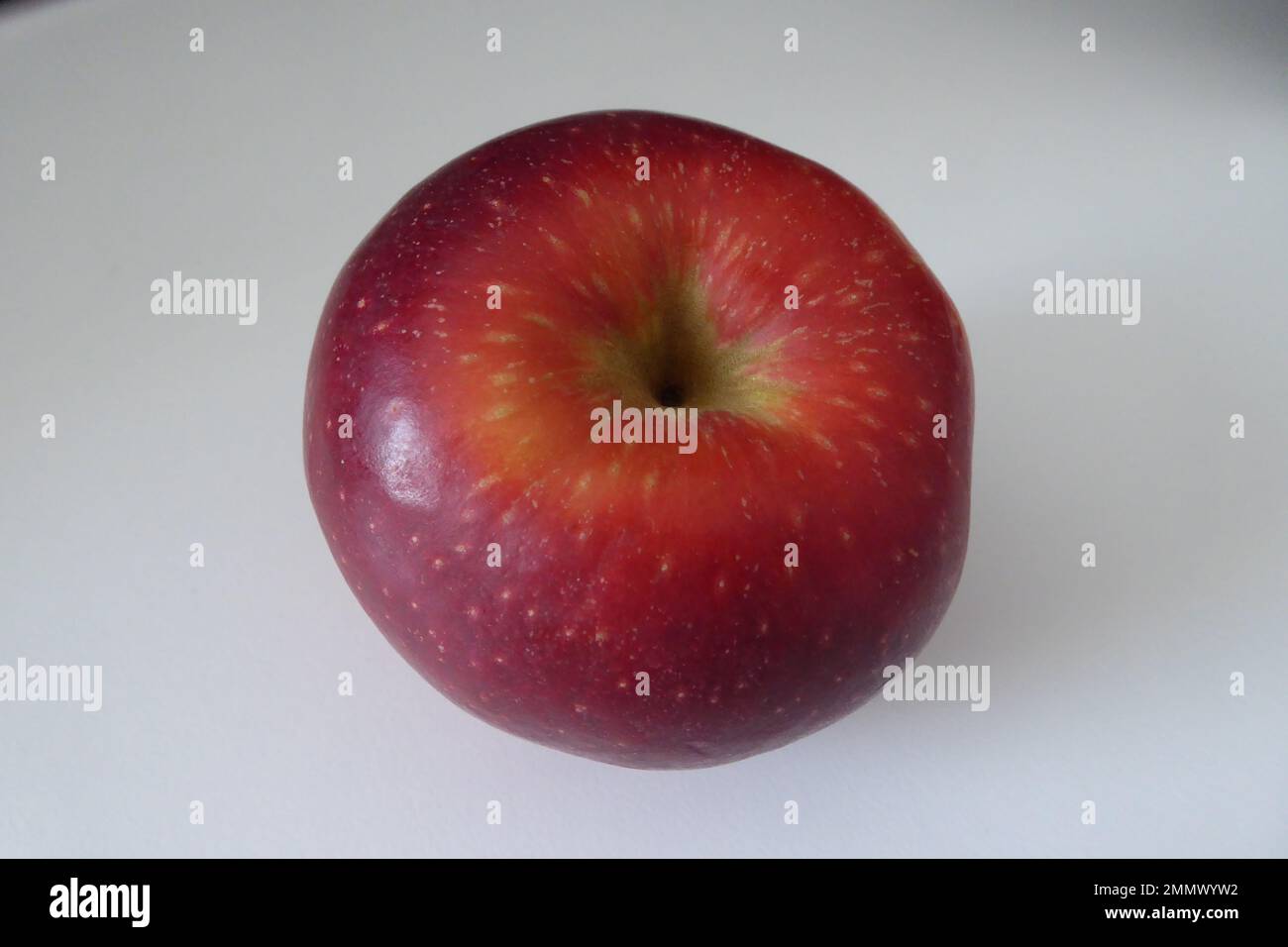 Apfel 2022 hi-res stock photography and images - Alamy