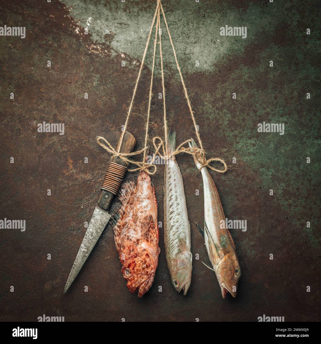 three types of raw fresh fish tied with rope and hanging by the rusty ...