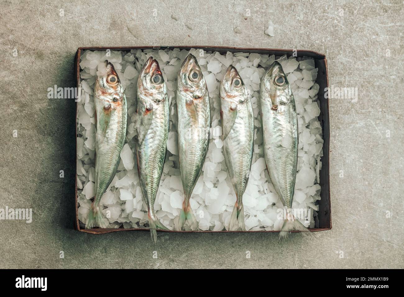 table top picture of fresh raw seabass fish in a box full of ice cubes ...