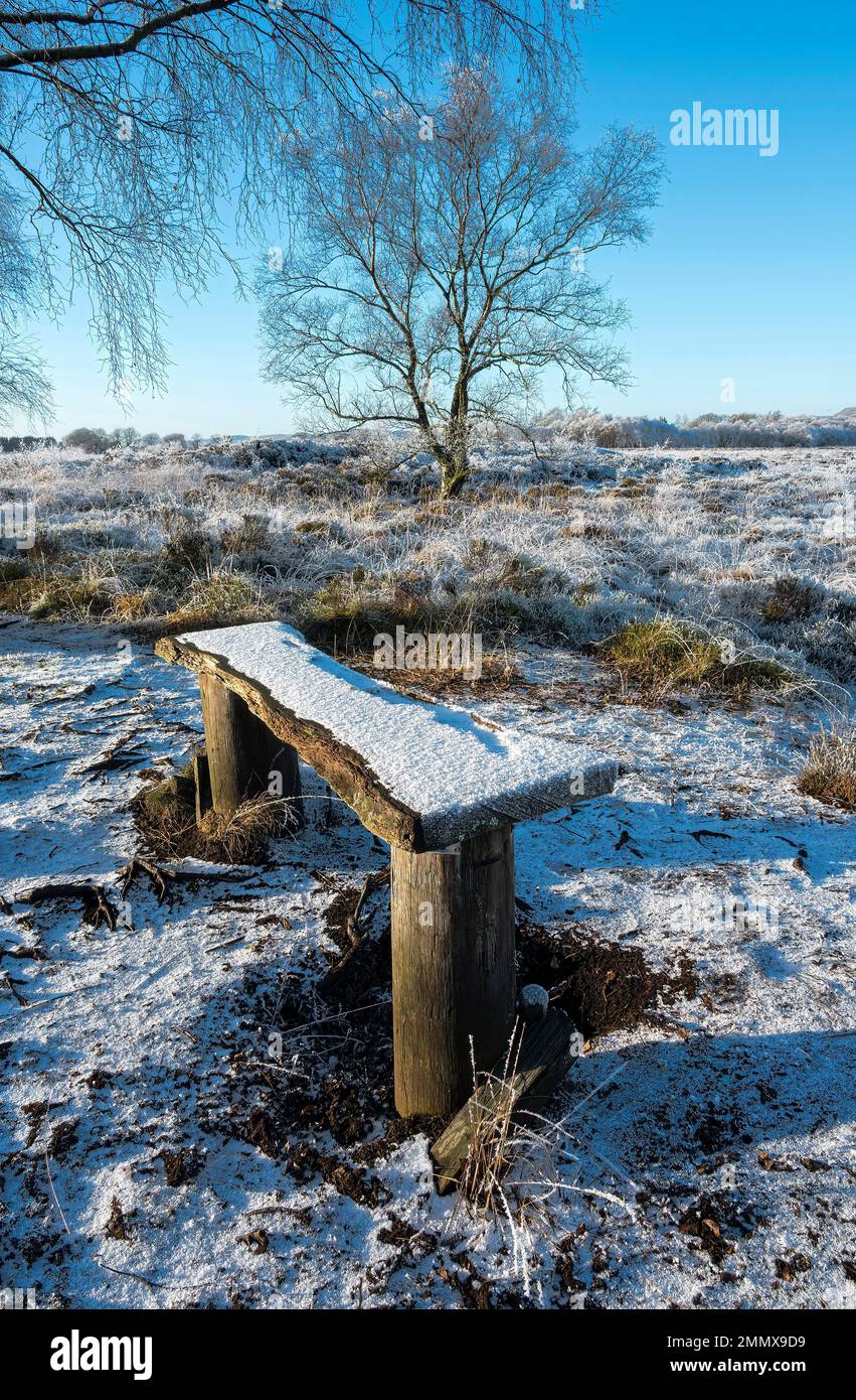 Winter frost and light covering of snow on field and trrees in rural setting. Stock Photo