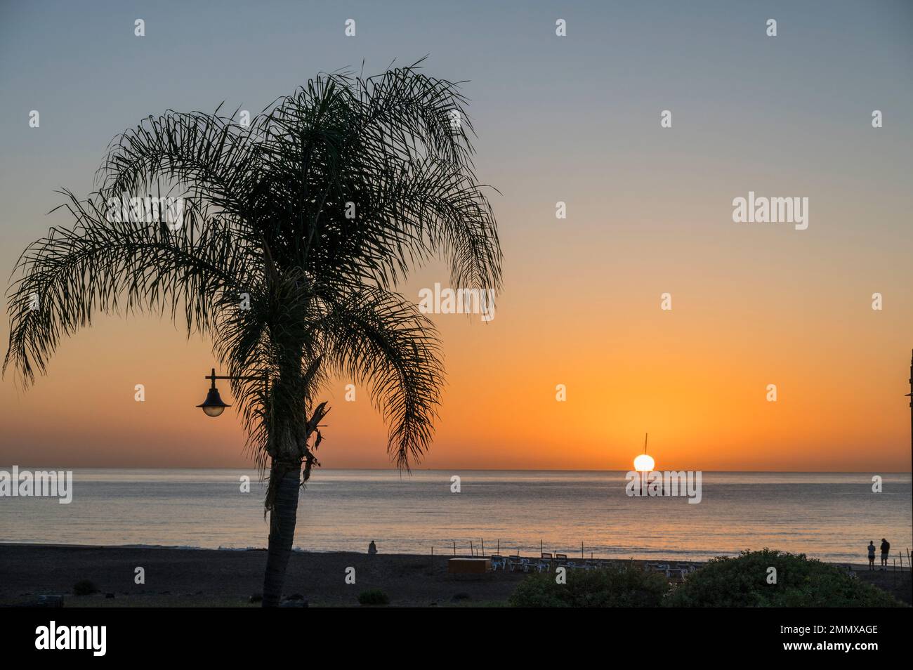 Sunrise with Palm Tree in silhouette at Puerto Del Carment, Canary Islands. Stock Photo