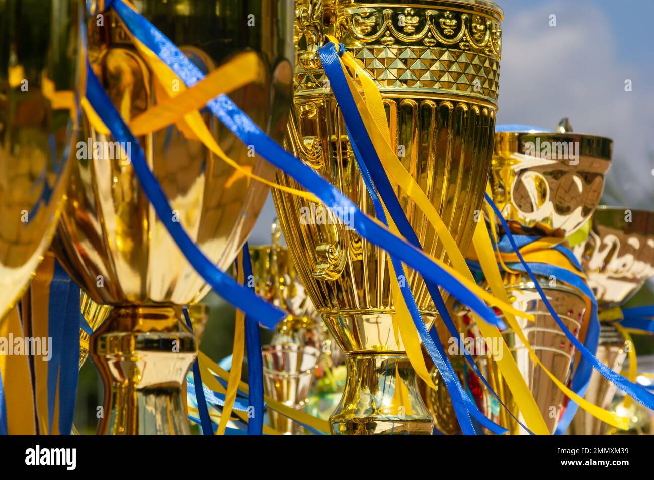 Golden winner's cups with yellow and blue ribbons prepared for awards in a row on the table on sky background. Stock Photo