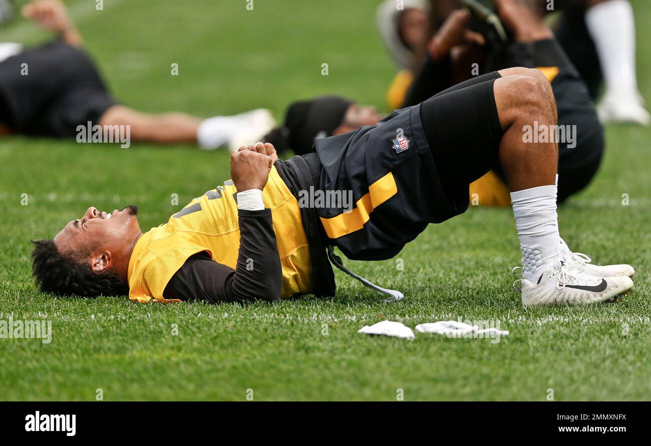 Pittsburgh Steelers safety Jordan Dangerfield (37) in action during an NFL  football game against the Cleveland Browns, Sunday, Oct. 18, 2020, in  Pittsburgh. (AP Photo/Justin Berl Stock Photo - Alamy