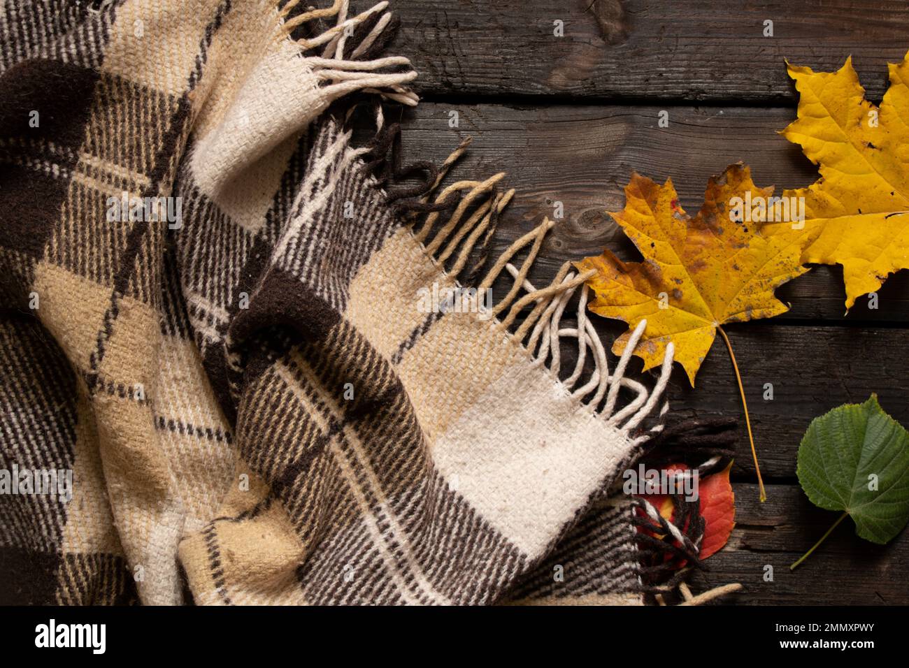 brown woolen plaid in a cage lies on an old wooden floor as a background, a wooden background and on it a blanket and autumn leaves, autumn mood Stock Photo