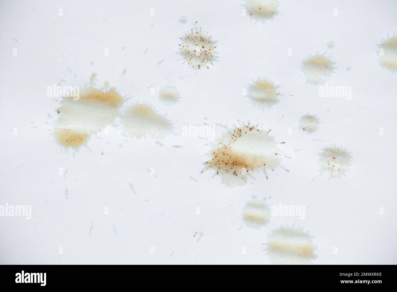 coffee stains on white paper, a drop of coffee on a white background