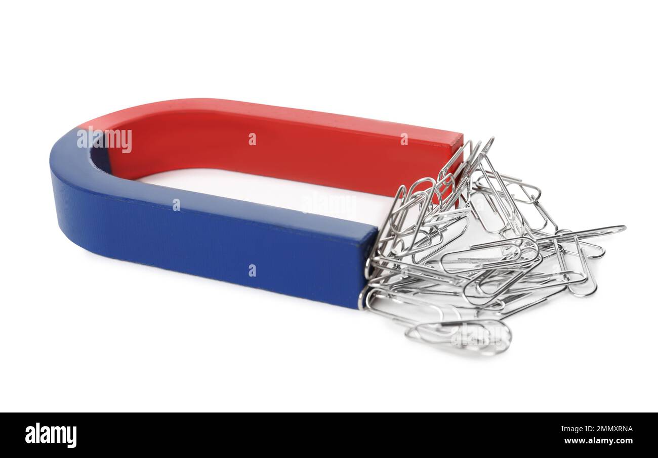 attracting paper clips on white background Stock Photo Alamy