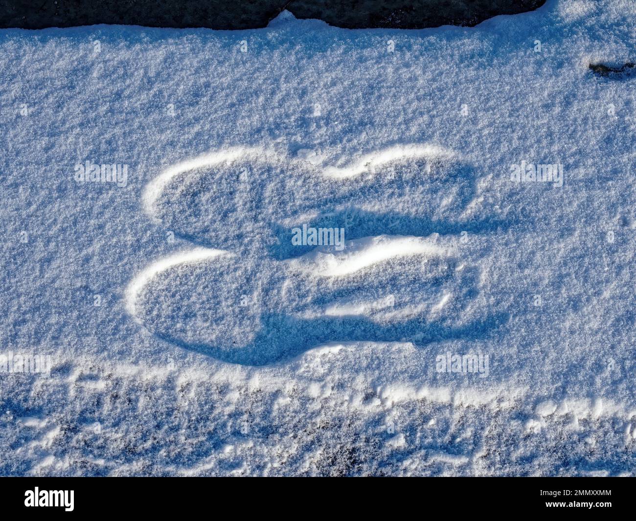 footprints on a snow-covered path, Moscow Stock Photo