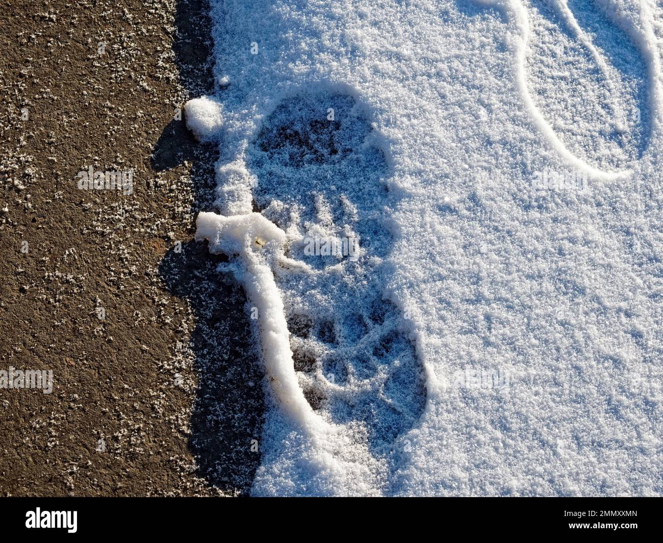 footprints on a snow-covered path, Moscow Stock Photo