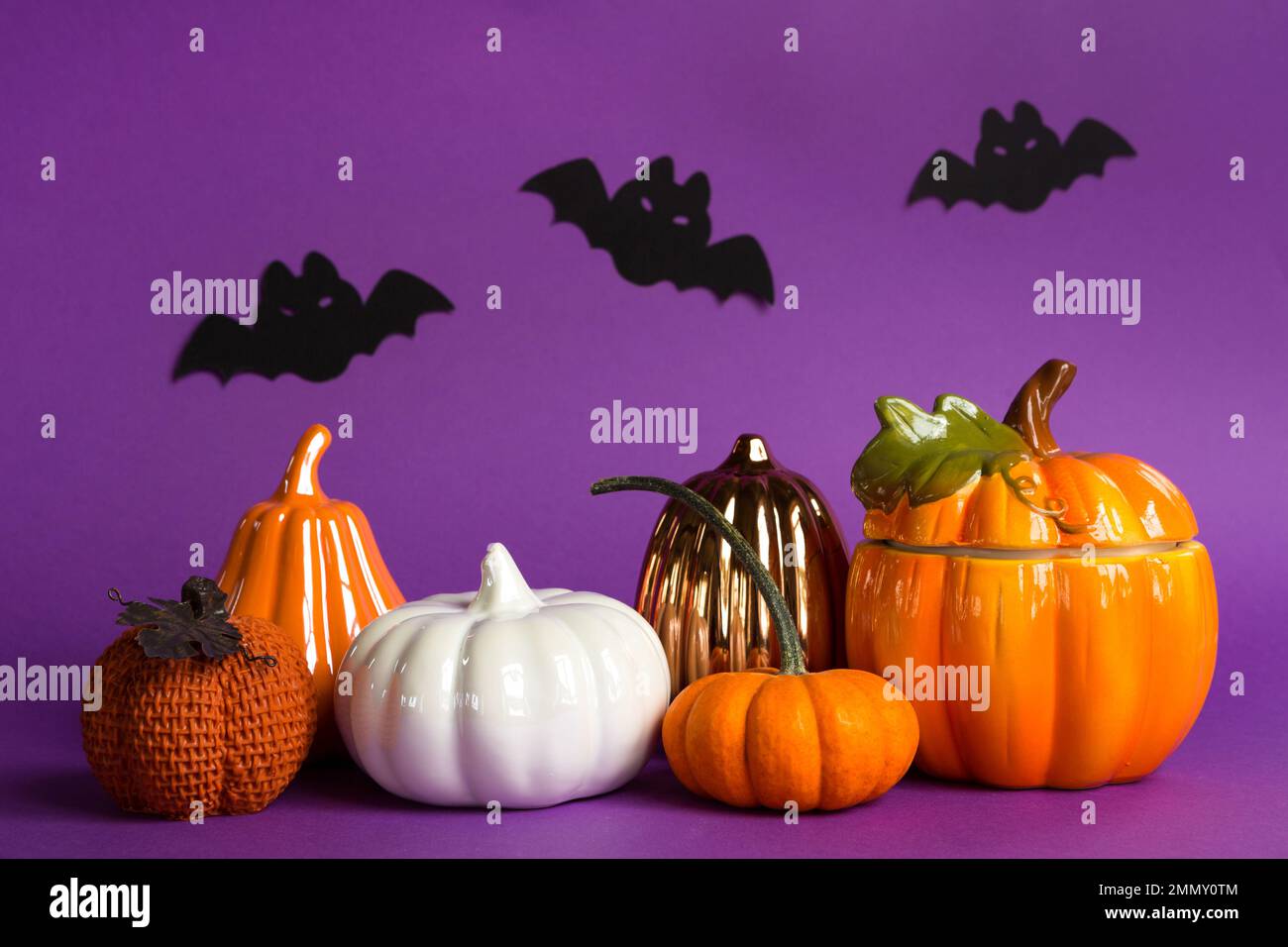 Halloween backgrounds of white, orange and gold pumpkins, spiders and black bats on a purple background with cobwebs and terrible scenery. Horror and Stock Photo