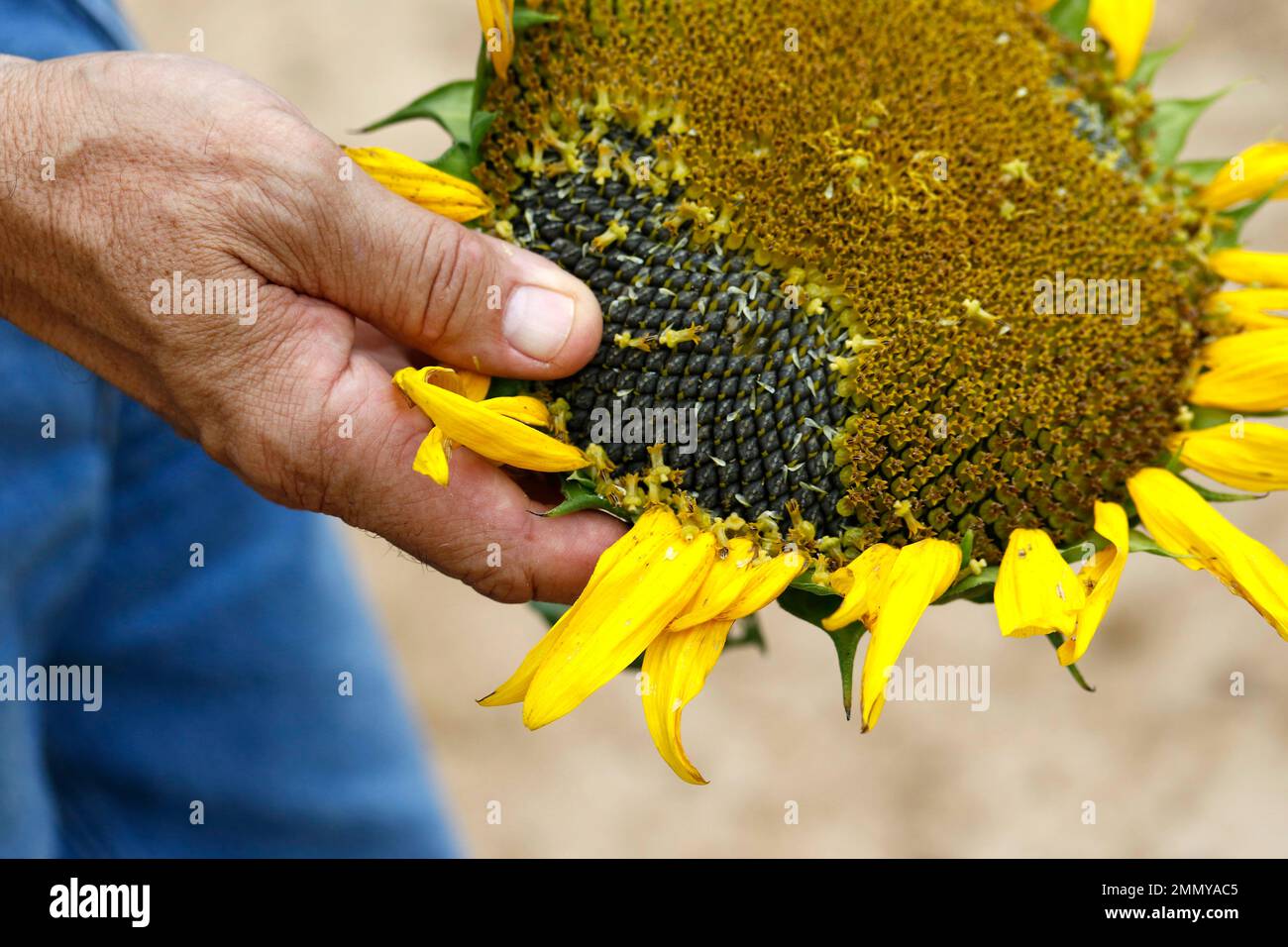 This is a July 13, 2018 photograph of Ted H. Kendall IV of The Gaddis