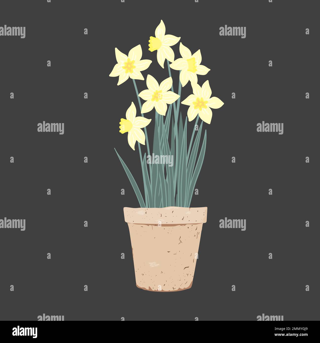 Potted Daffodil plant. First Spring Flowers in a clay pot. Vector illustration isolated on a white background Stock Vector