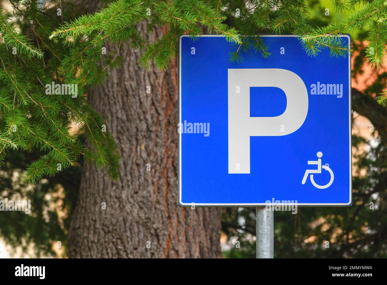 European reserved parking sign, disabled parking only, selective focus Stock Photo