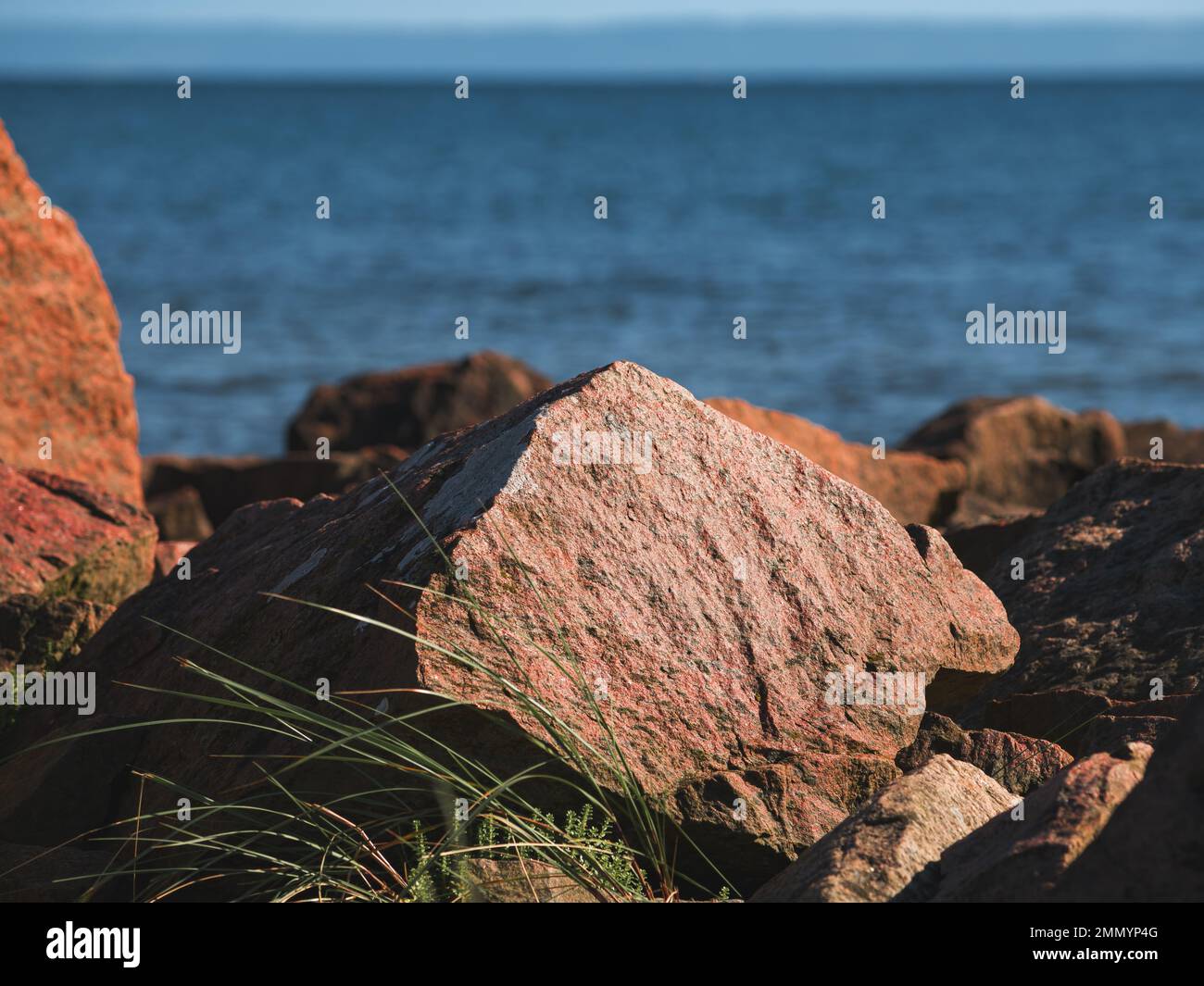 Granite rock at Kattegat sea shoreline at Halmstad West beach in Sweden. Selective focus. Stock Photo