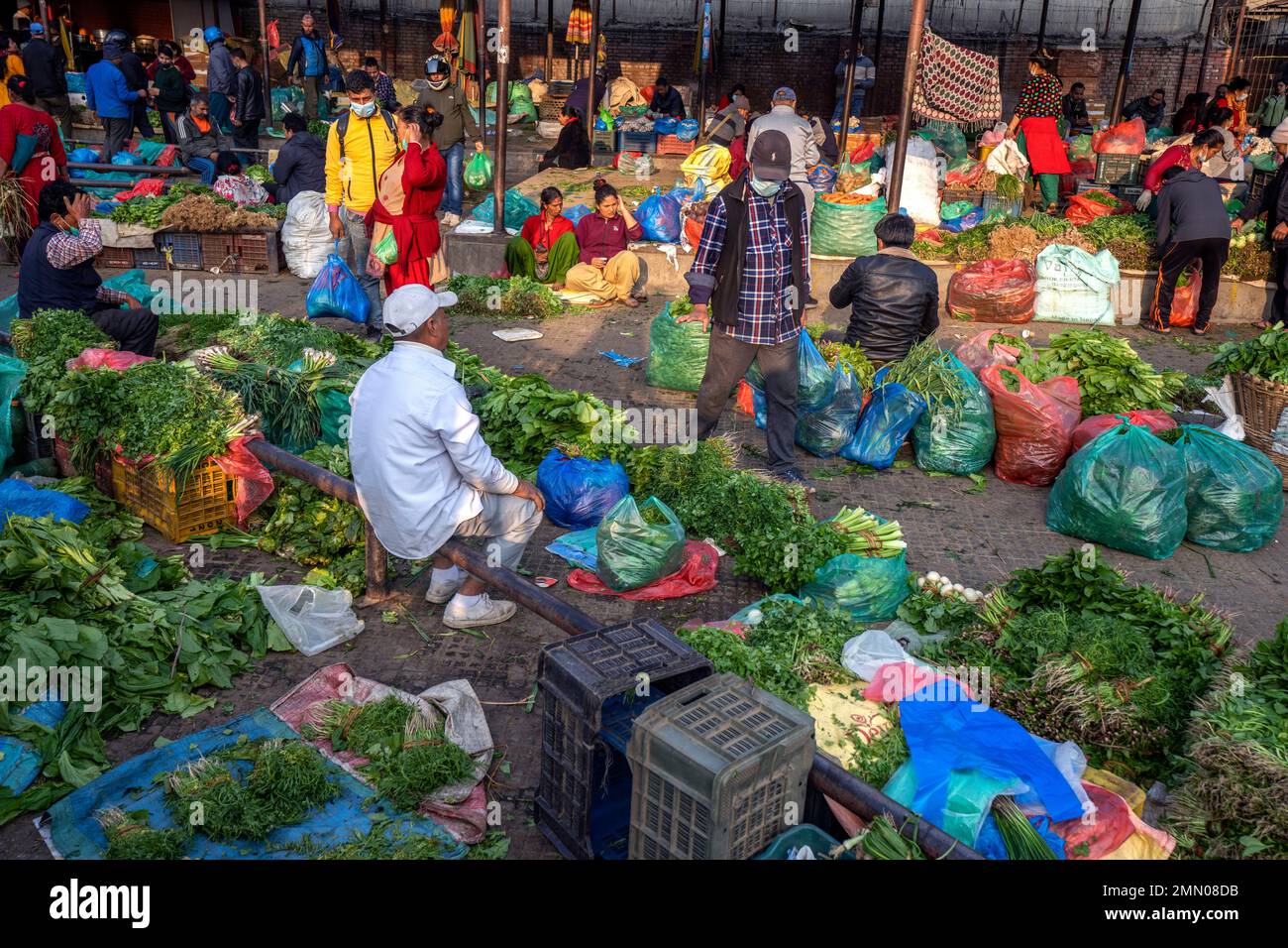 Nepal, Kathmandu, vegetable market Stock Photo Alamy