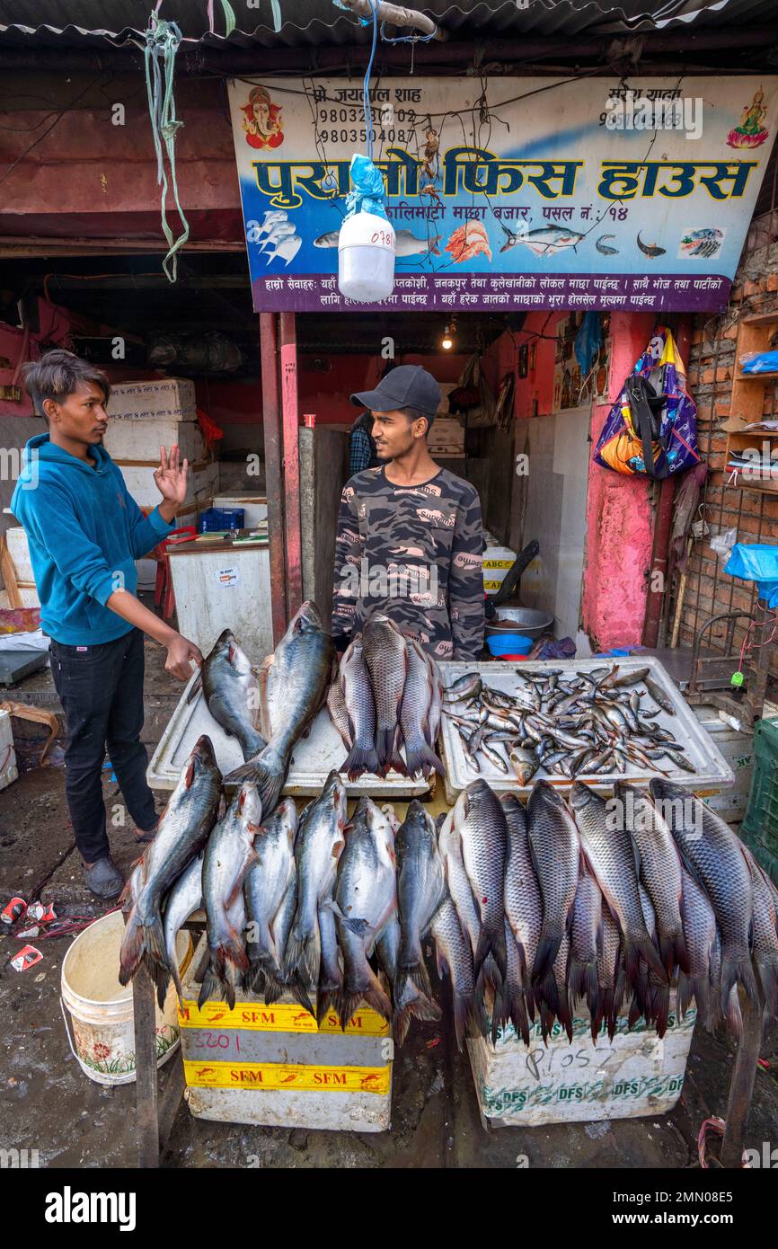 Nepal, Kathmandu, fish market Stock Photo Alamy