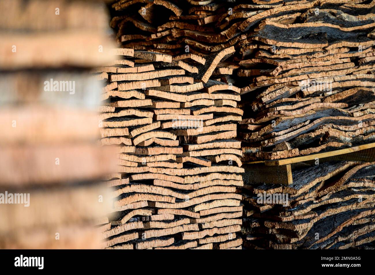 Cork factory portugal hi-res stock photography and images - Alamy