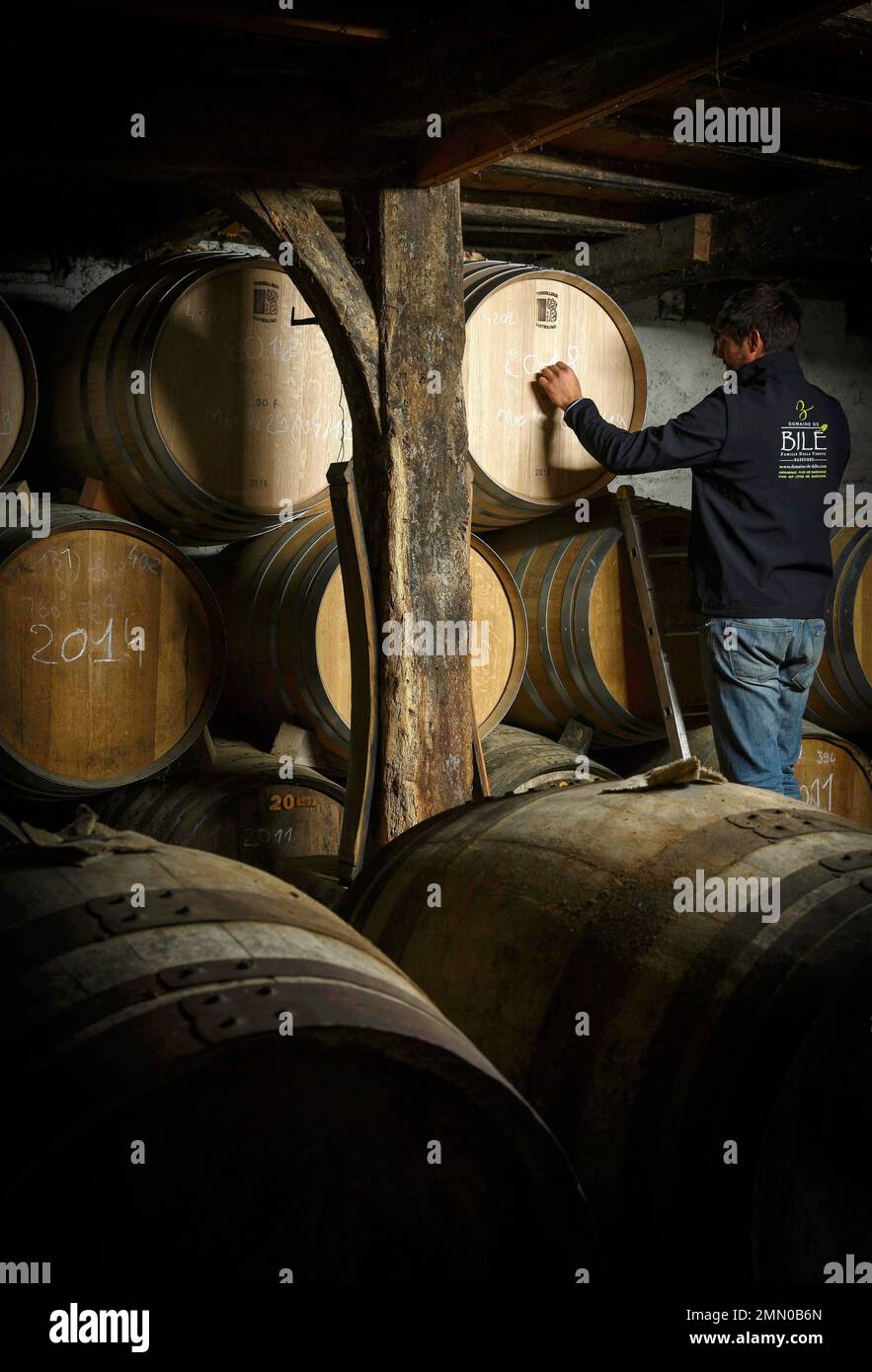 France, Gers, Bassoues, Domaine de Bile, interior of a winegrower's