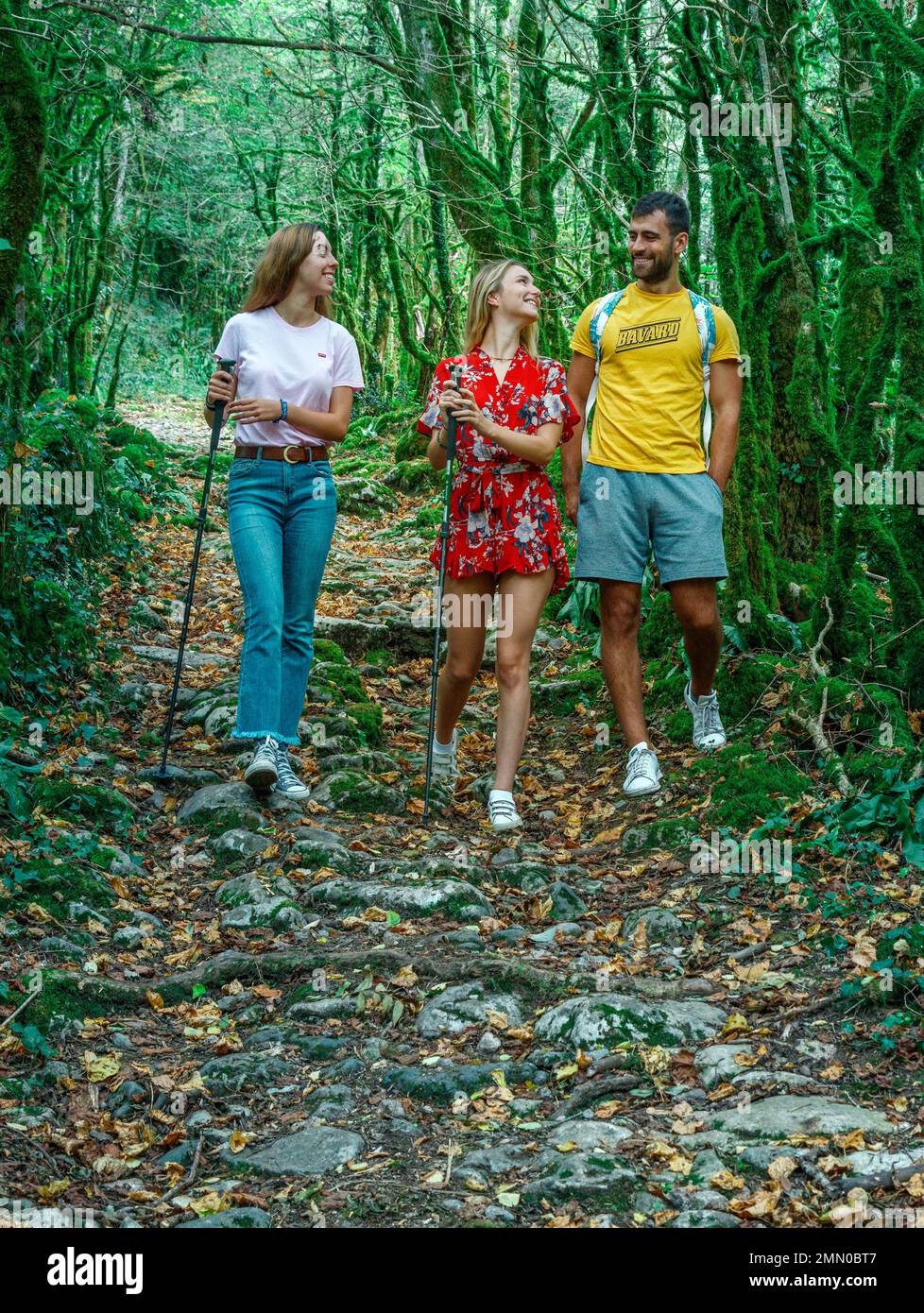 France, Haute Garonne, Arbas, La Gourgue d'Arbas, group of 3 friends walking in a forest in summer Stock Photo
