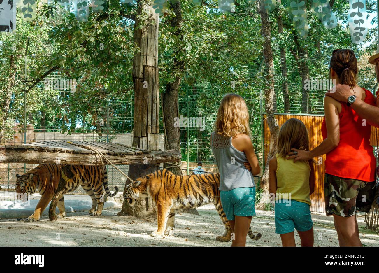 France, Haute Garonne, Plaisance du Touch, African Zoo, family of