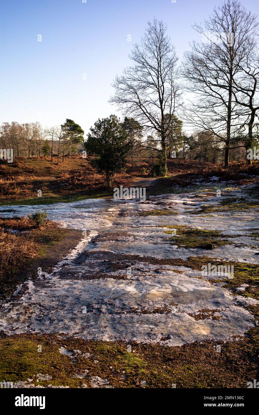 A popular footpath in the New Forest is frozen solid with water that drains from surrounding fields making the route impassable and dangerous. Stock Photo