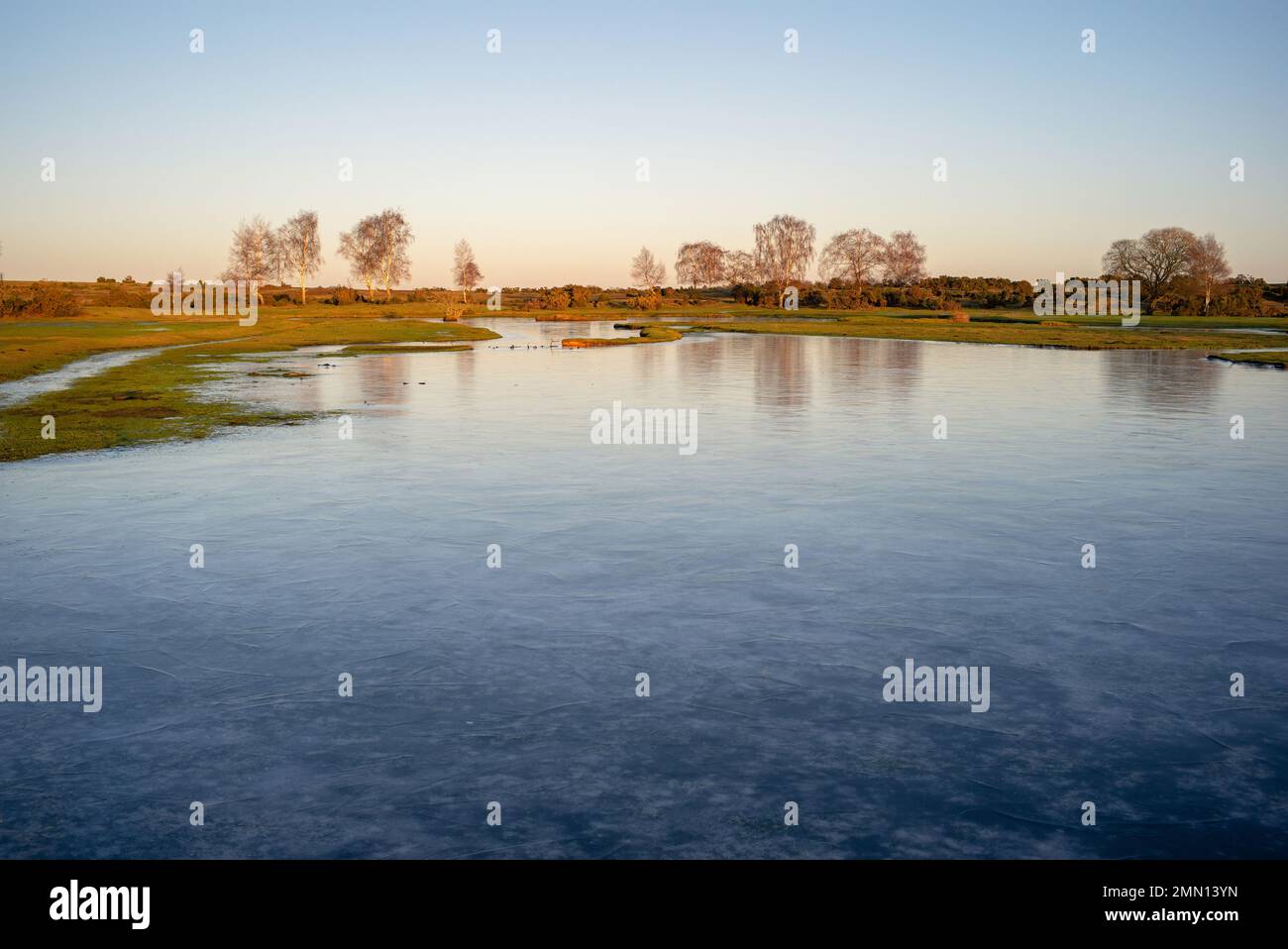 Frozen Strurtmoor pond in Plaitford common on the edge of the New Forest border. Stock Photo