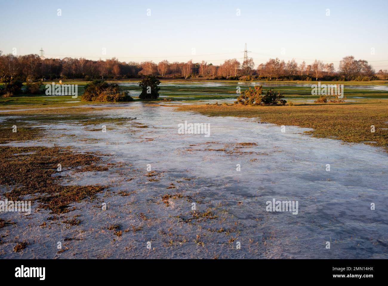 Recent cold weather has frozen water movement within the ecological system from rainfall highlighting where it moves towards streams, rivers and ponds. Stock Photo