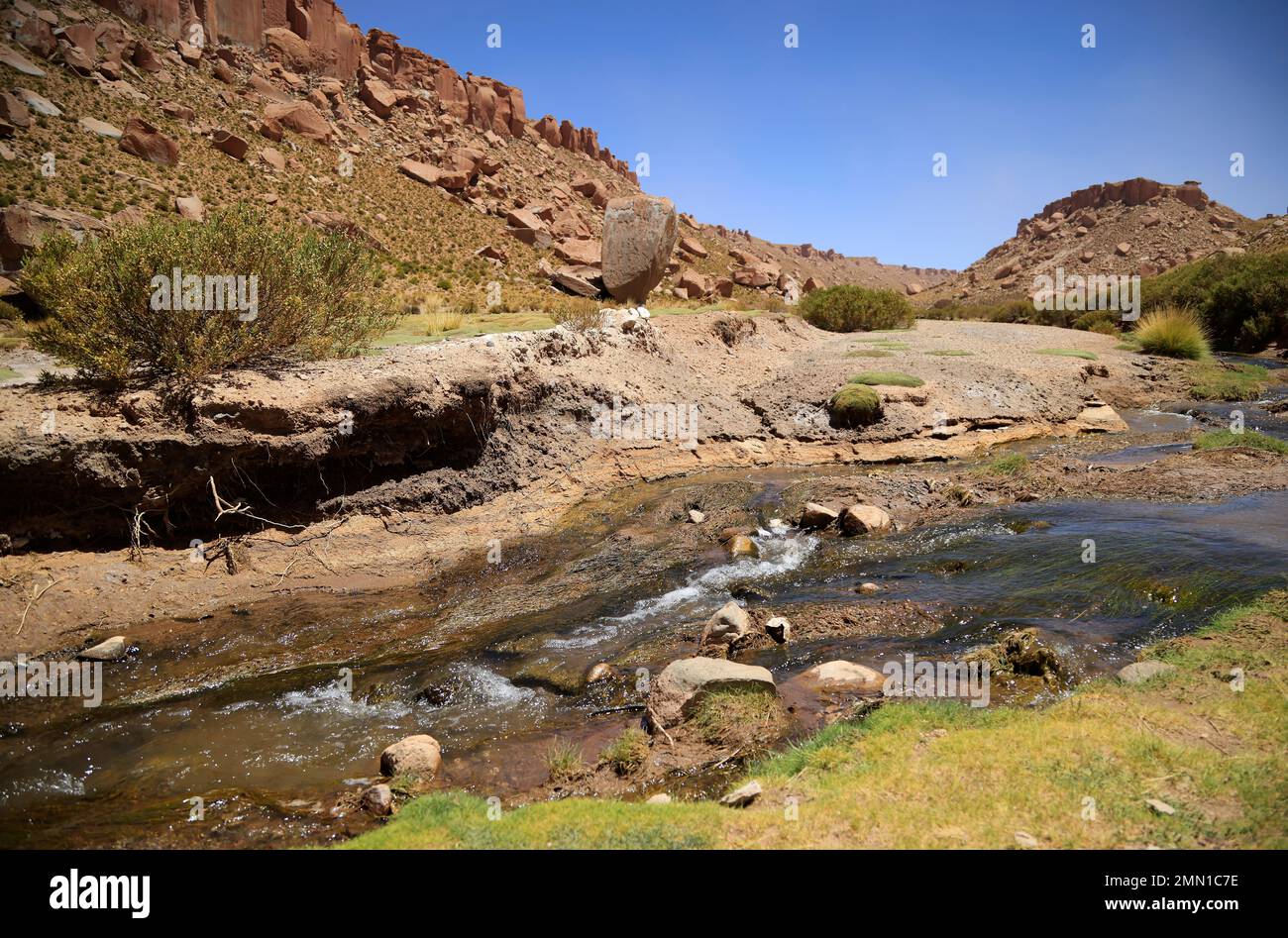 Landscape of the Puna Argentina Stock Photo Alamy