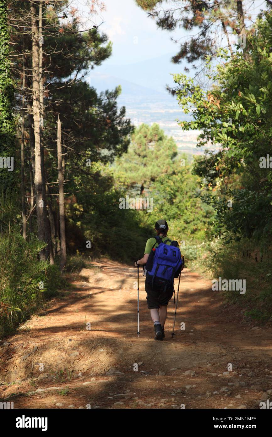 Trekking in the forest near Vinci, Italy. Stock Photo