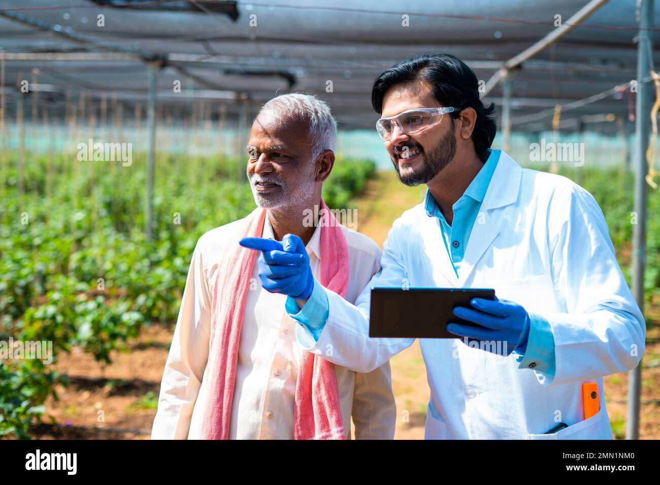 Agro scientist with senior indian farmer explaining from digital tablet at greenhouse - concept of modern agriculture, advising and technology Stock Photo