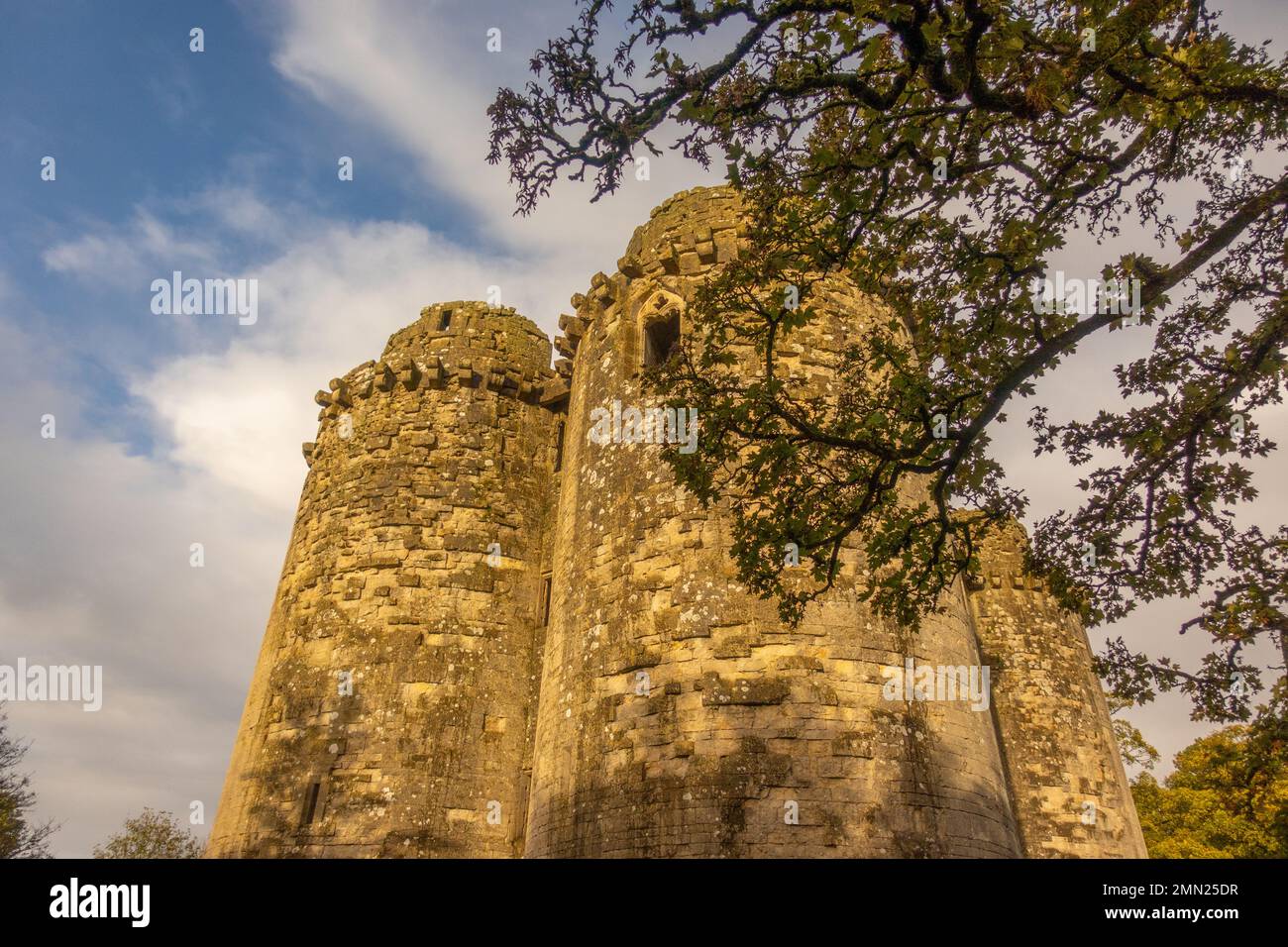 scheduled monumentLooking up at the ruined towers of Nunney Castle Wiltshire. Stock Photo
