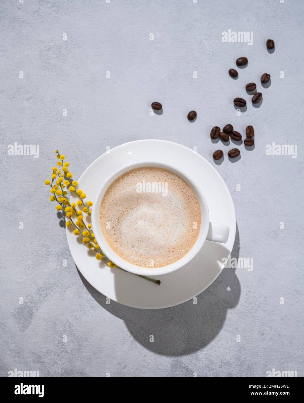 A cup of coffee cappuccino with spring flower mimosa on a light background with coffee beans. Concept of 8 March, happy women's day. Top view and spac Stock Photo