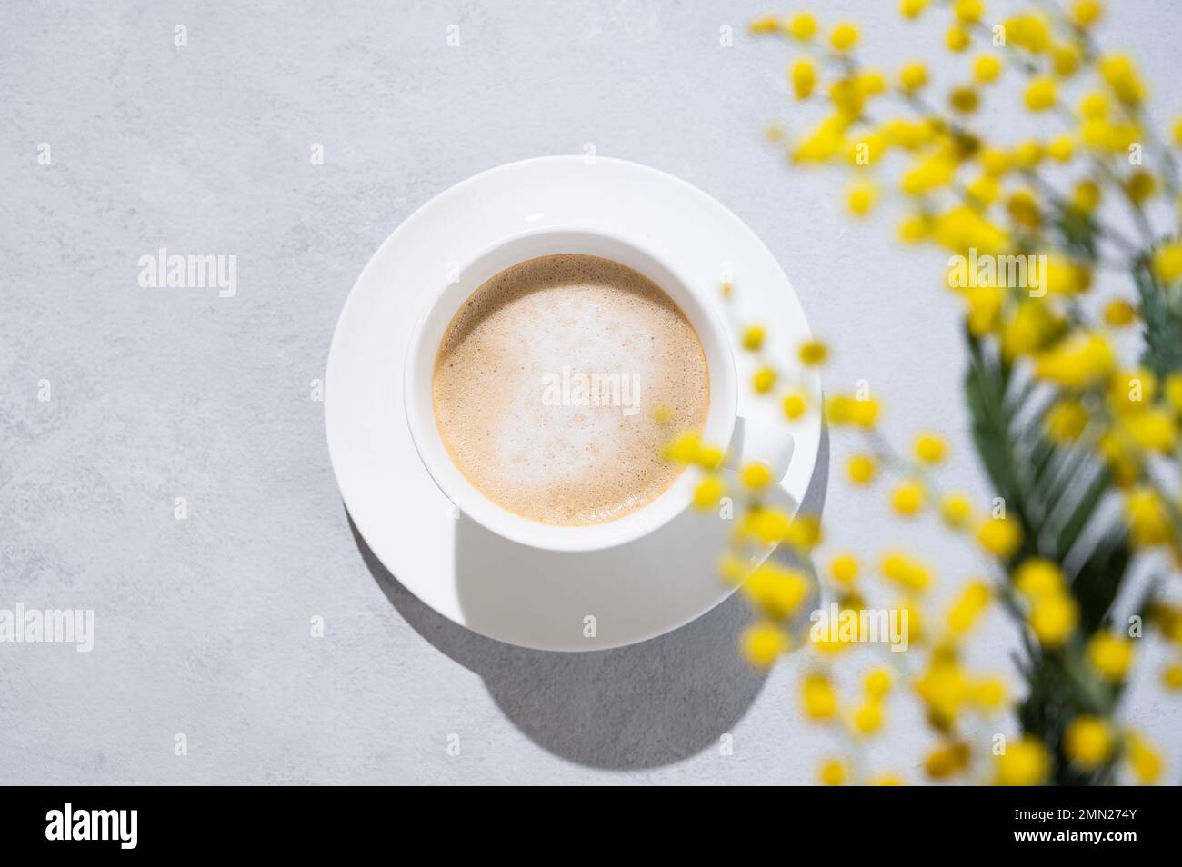 A spring bouquet with yellow mimosa flowers over a cup of coffee  cappuccino on a light background with shadow. Concept of 8 March, happy women's day. Stock Photo