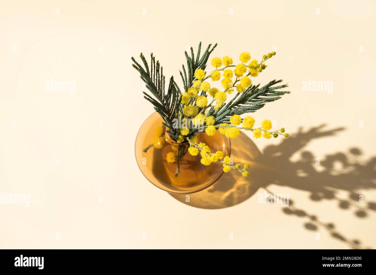 A bouquet of yellow mimosa flowers stands in a glass vase with shadow on a yellow background. Concept of 8 March, happy women's day. Top view and copy Stock Photo