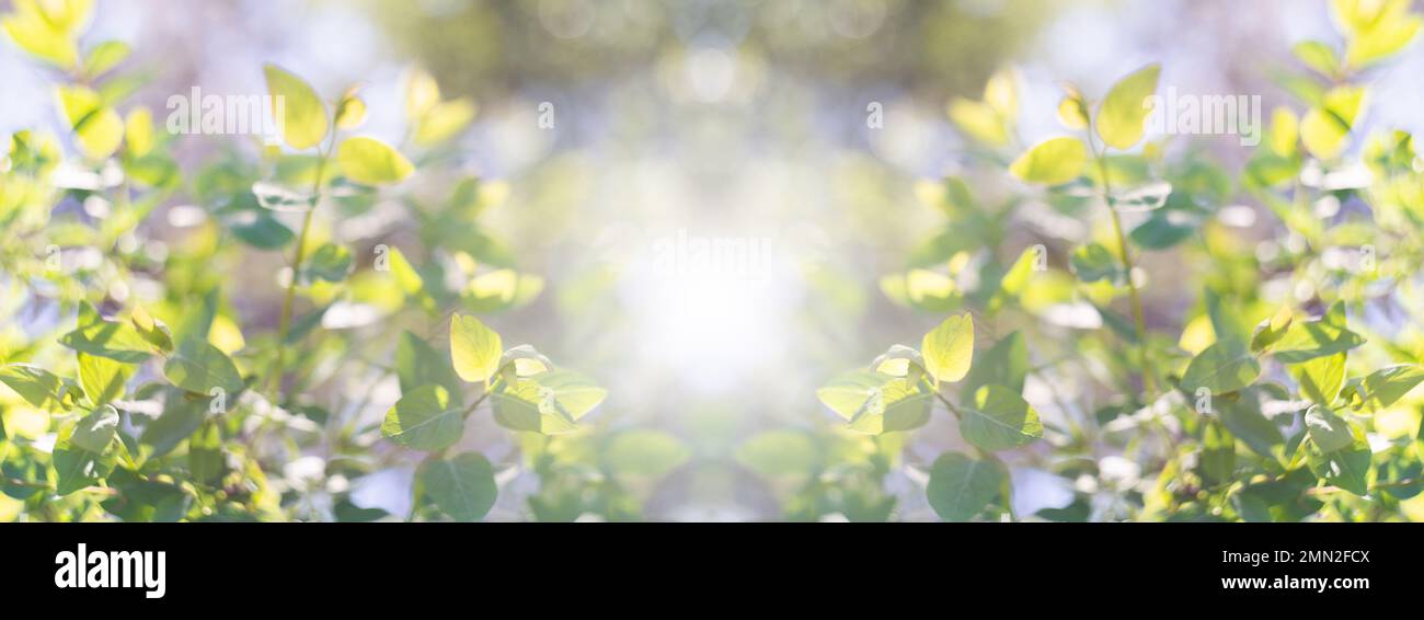 Outdoor spring summer color hi-res stock photography and images - Alamy