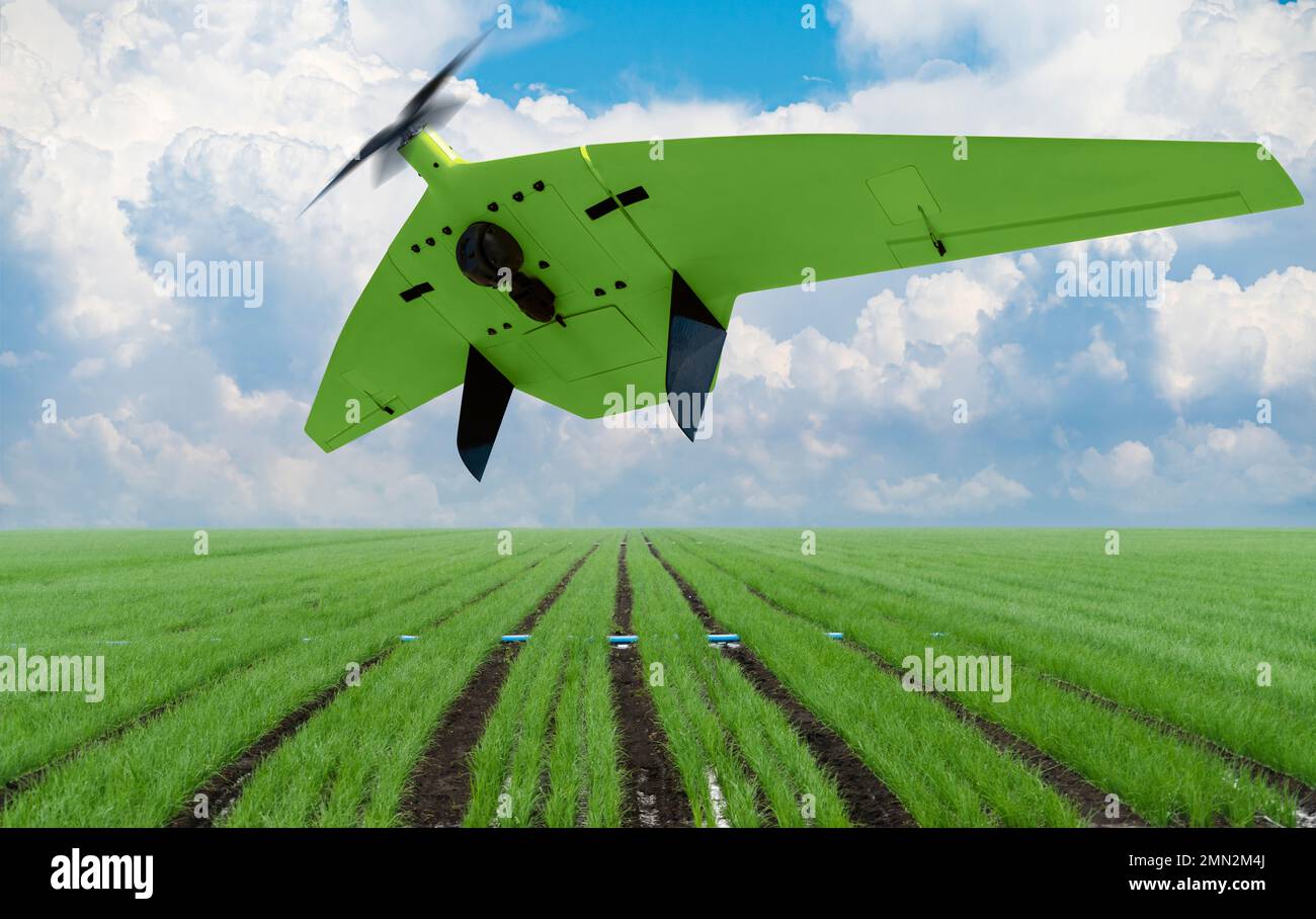 Drone flies over agricultural land. Smart farming Stock Photo