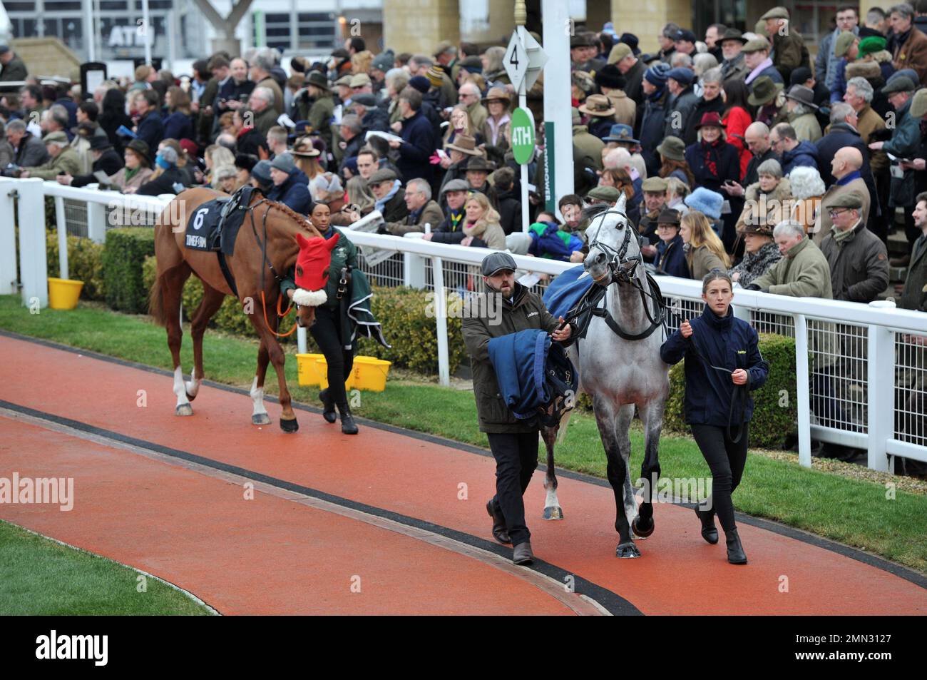 Horse Racing at Cheltenham Racecourse, Prestbury Park on Trials Day in