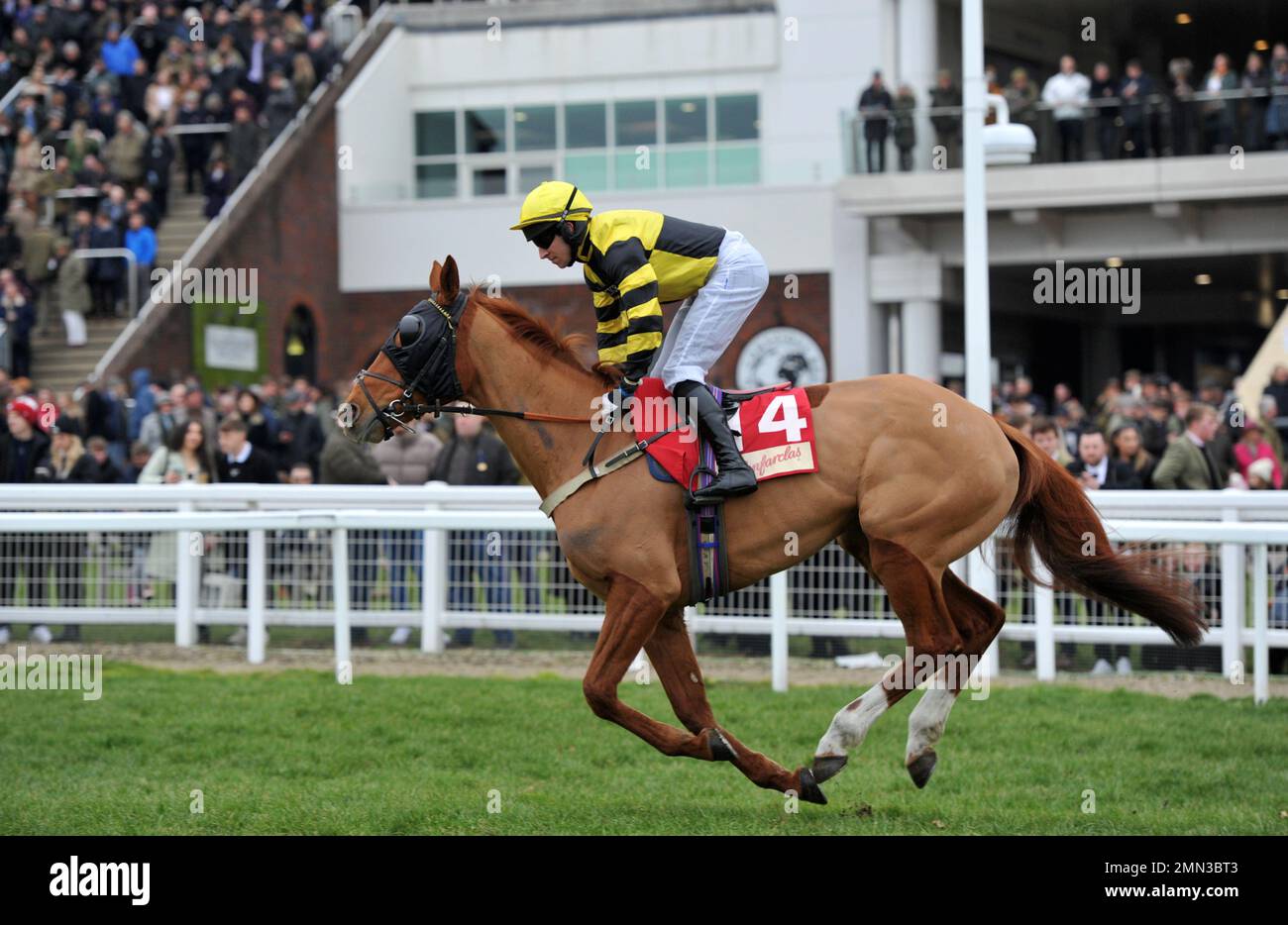 Legends gold horse hi-res stock photography and images - Alamy
