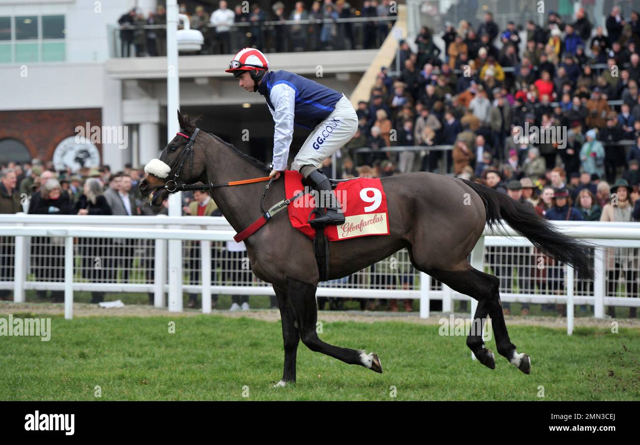 Back on the lash horse hi-res stock photography and images - Alamy