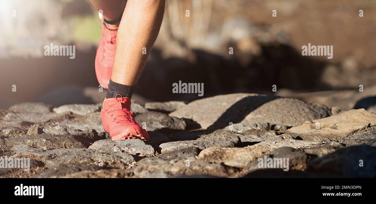 Feet runner athlete running on trail stones in forest Stock Photo Alamy