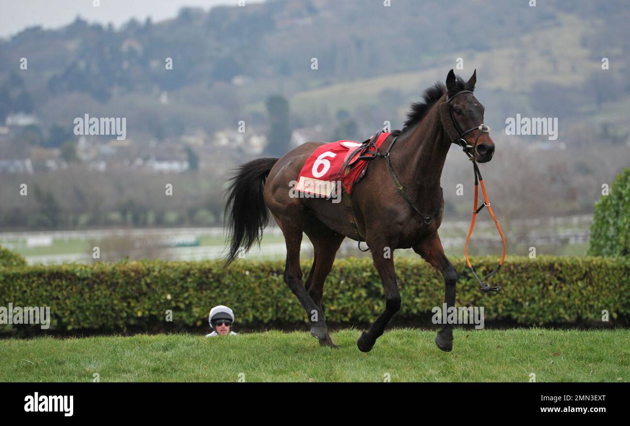 Foxy jacks hires stock photography and images Alamy