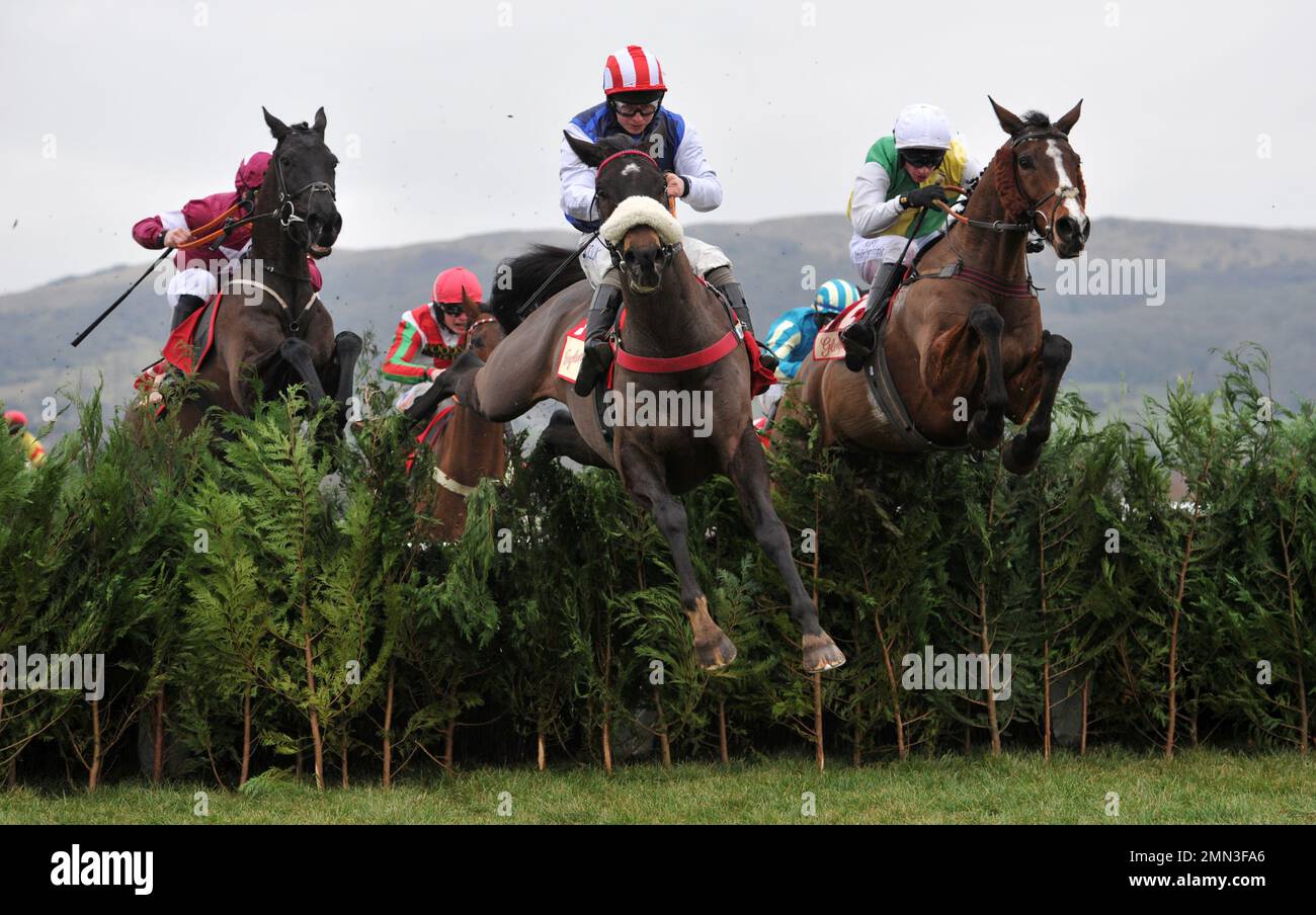 Race Three. The Glenfarclas Cross Country Chase.   Jumping the last, l2r Delta Work ridden by Robert James, Back On The Lash ridden by Sean Bowen and Stock Photo