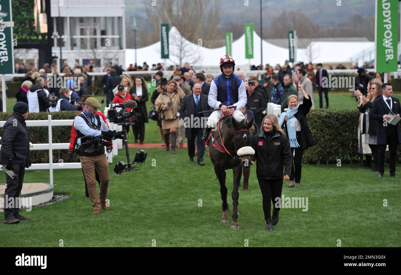 Back on the lash racecourse hi-res stock photography and images - Alamy