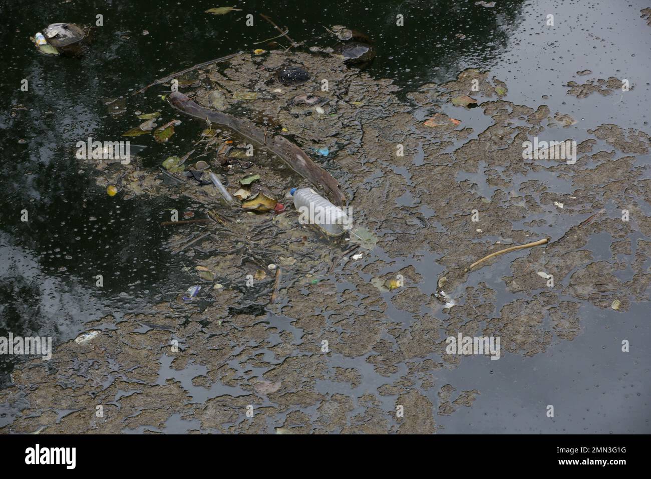 A giant floating rubbish heap floating in the river, plastic pollution