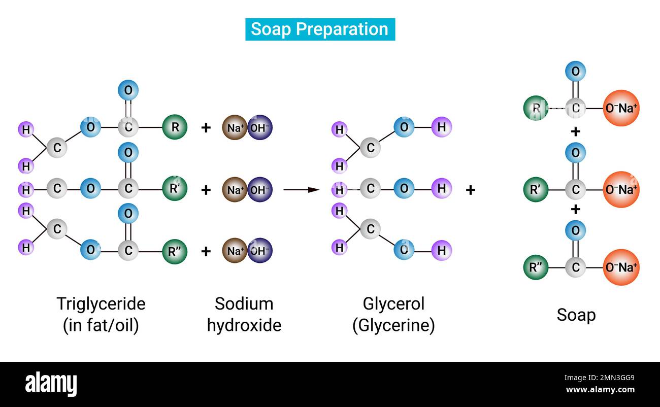 Saponification saponification