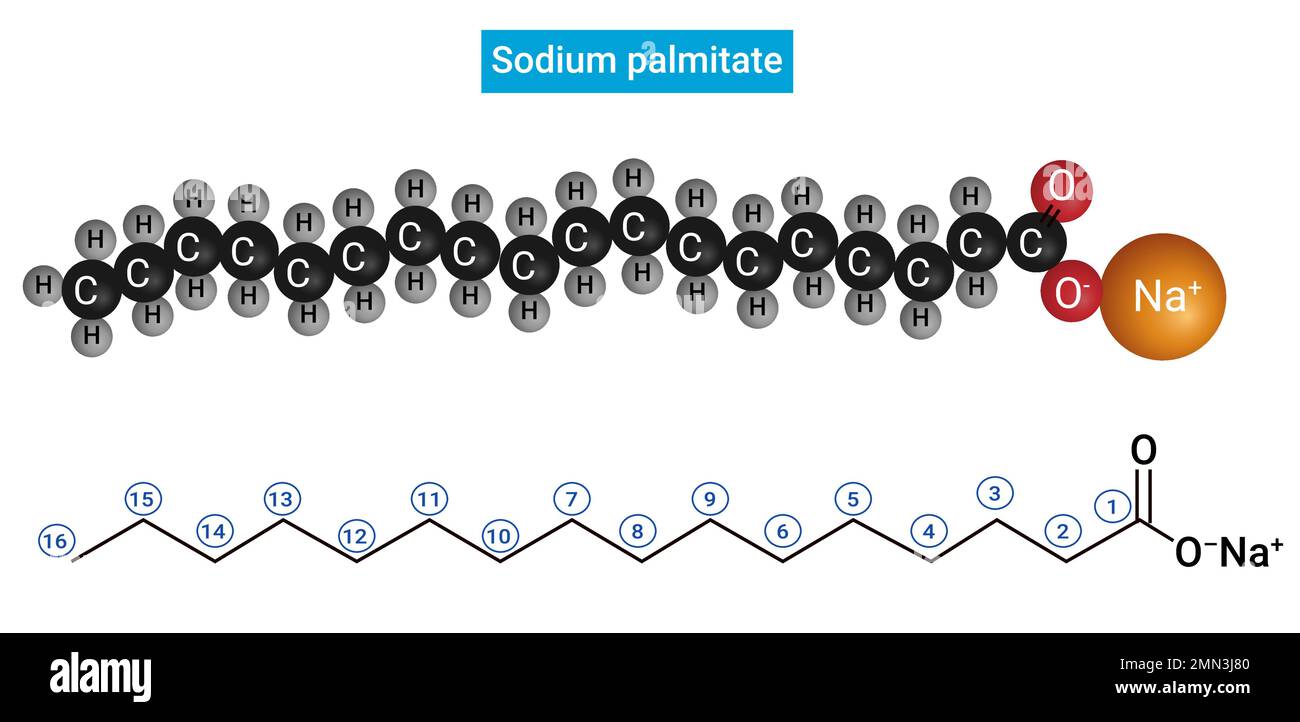 Structure of Sodium palmitate : Salt of palmitic acid (C15H31COOH) Stock Vector