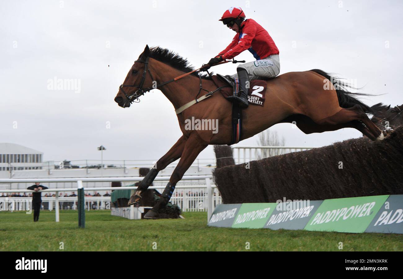 Fourth race The Albert Bartlett Clarence House Chase. Race winner