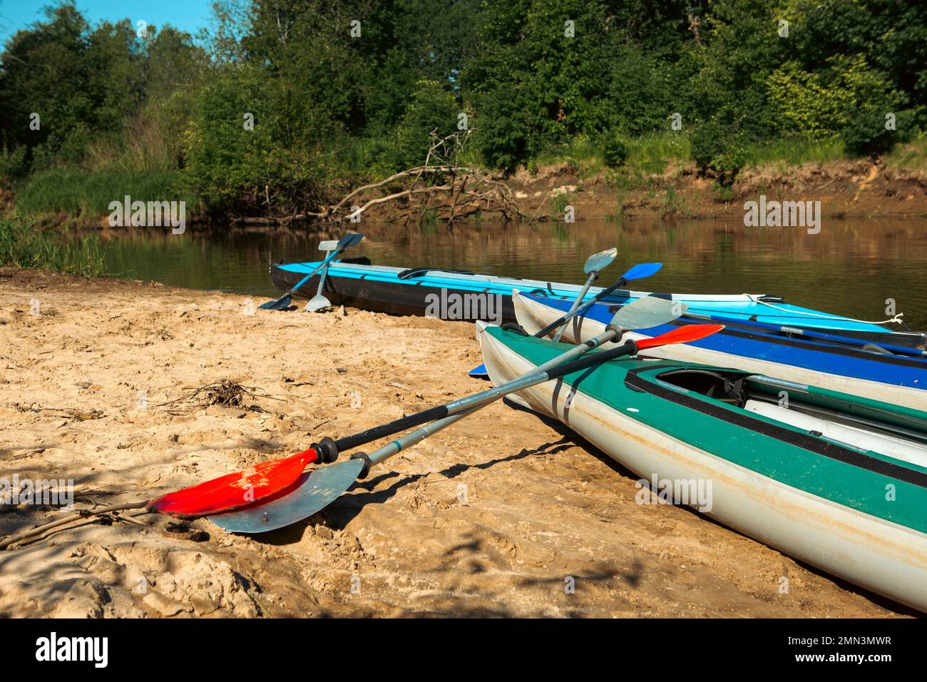 Tourist canoes with paddles stand on the river coast in summer on a