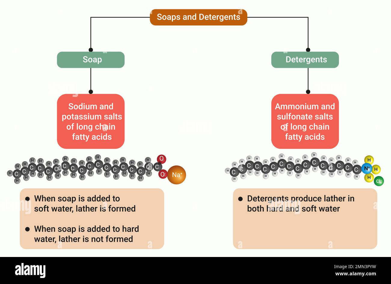 Soaps are sodium or potassium salts of fatty acids which are formed by